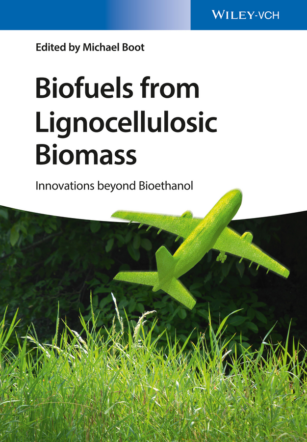 Biofuels from Lignocellulosic Biomass. Innovations beyond Bioethanol