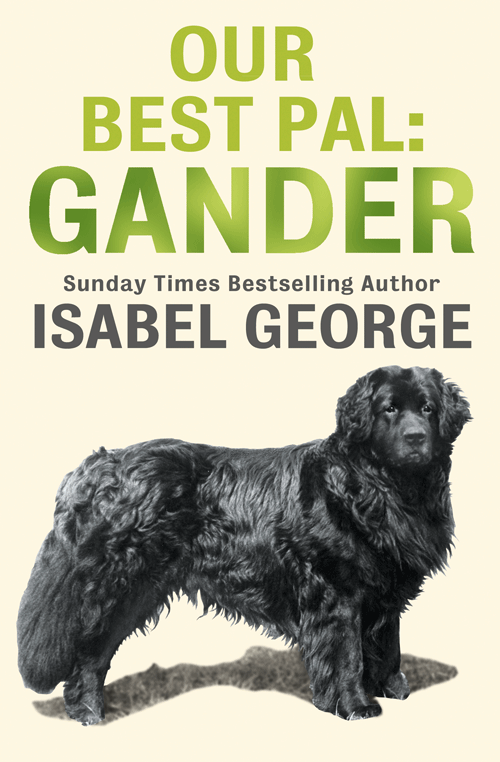 Книга Our Best Pal: Gander из серии , созданная Isabel George, может относится к жанру Биографии и Мемуары, Домашние Животные. Стоимость электронной книги Our Best Pal: Gander с идентификатором 39794153 составляет 79.72 руб.