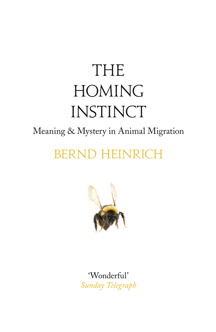 Книга The Homing Instinct: Meaning and Mystery in Animal Migration из серии , созданная Bernd Heinrich, может относится к жанру . Стоимость книги The Homing Instinct: Meaning and Mystery in Animal Migration  с идентификатором 39816553 составляет 182.72 руб.