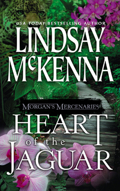 Morgan's Mercenaries: Heart of the Jaguar