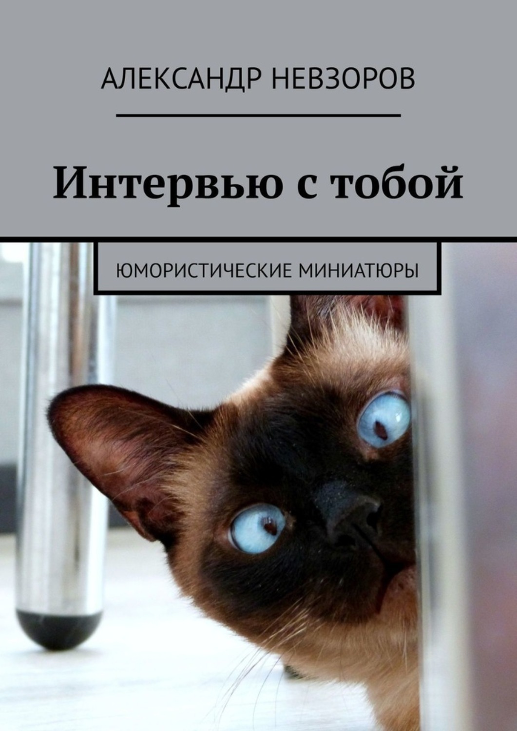 Интервью с тобой. Юмористические миниатюры