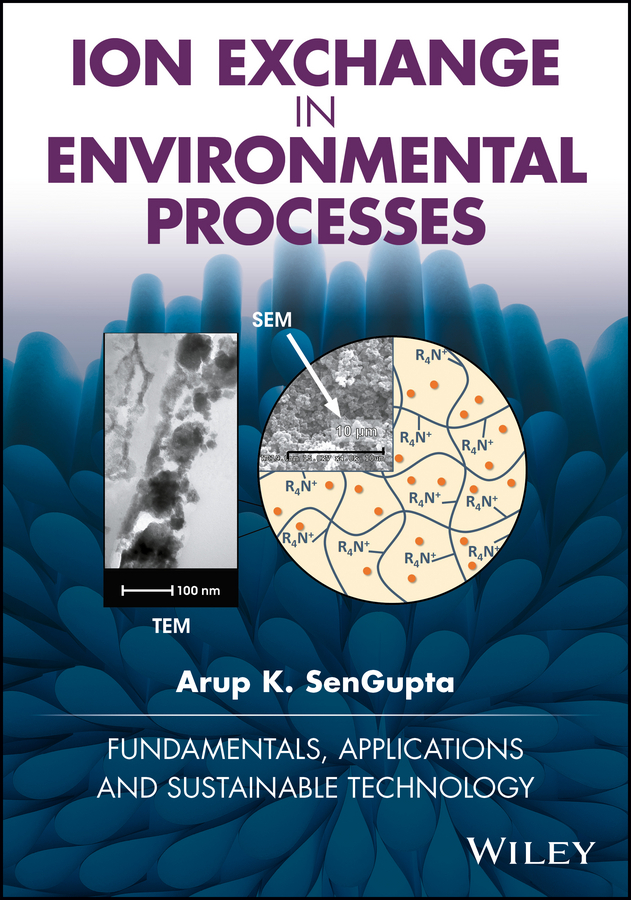 Arup SenGupta K. Ion Exchange in Environmental Processes. Fundamentals, Applications and Sustainable Technology