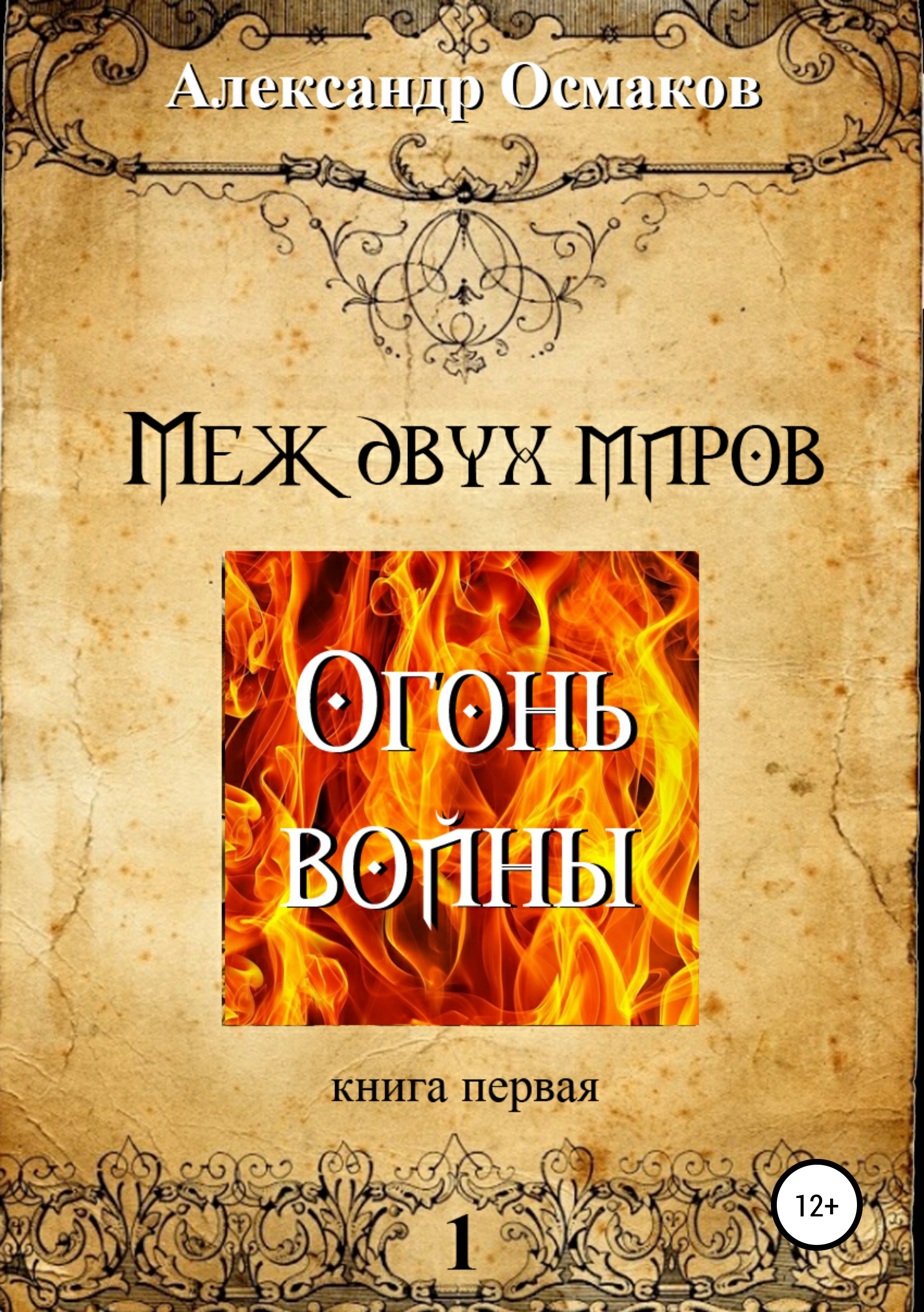 

Меж двух миров, книга первая: Огонь войны