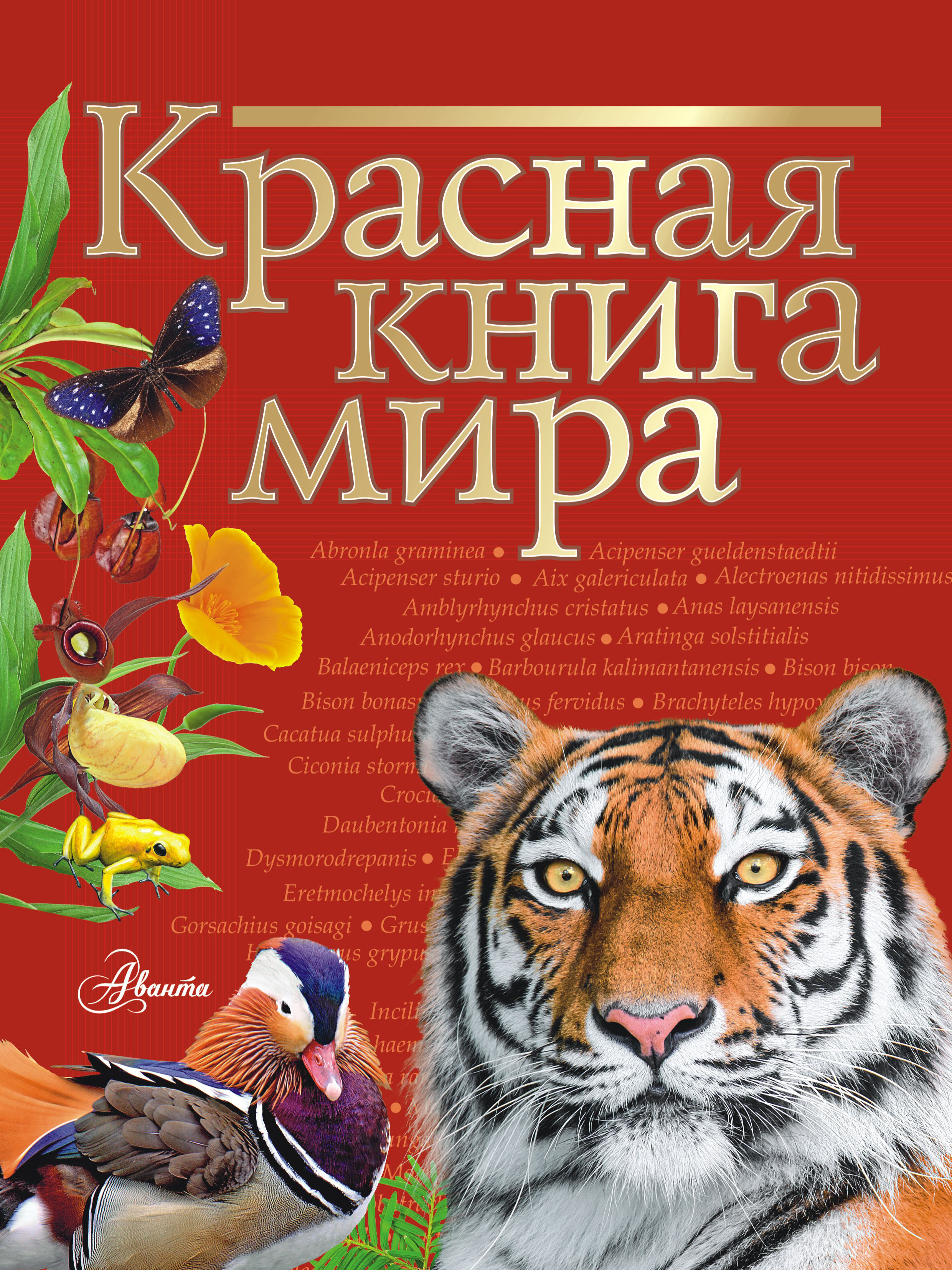 «Красная книга мира» – Ирина Пескова | ЛитРес