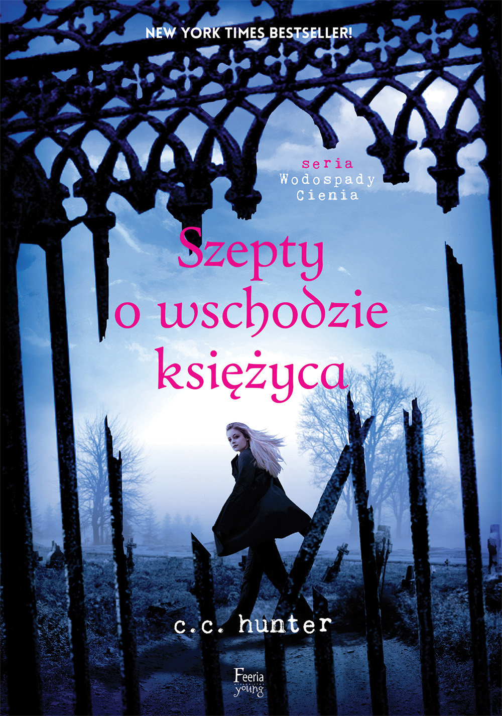 

Wodospady Cienia