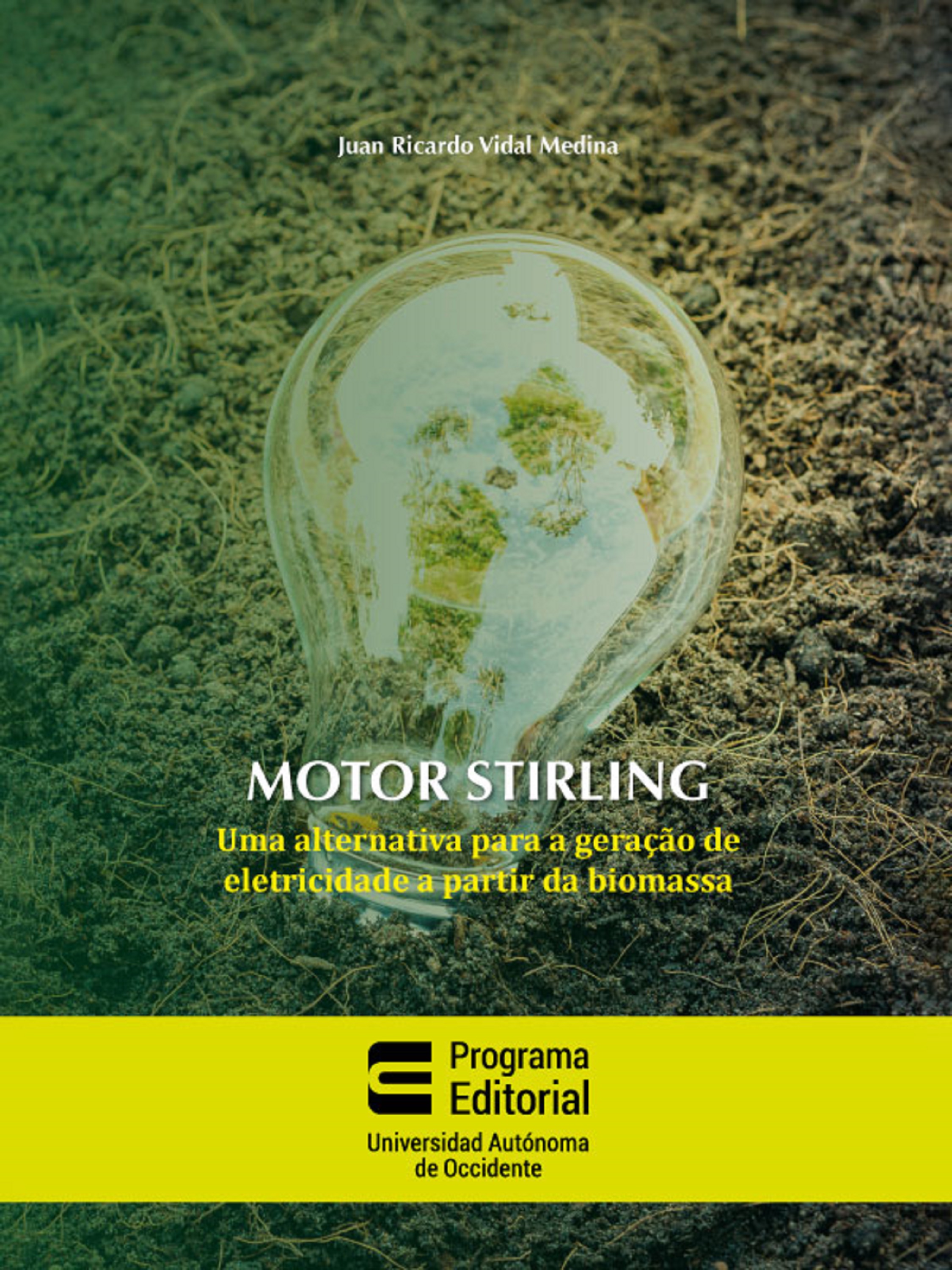 Juan Ricardo Vidal Medina Motor stirling: uma alternativa para a geração de eletricidade a partir da biomassa