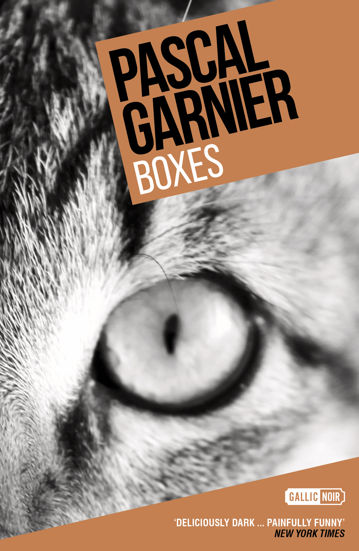 

Boxes: Shocking, hilarious and poignant noir