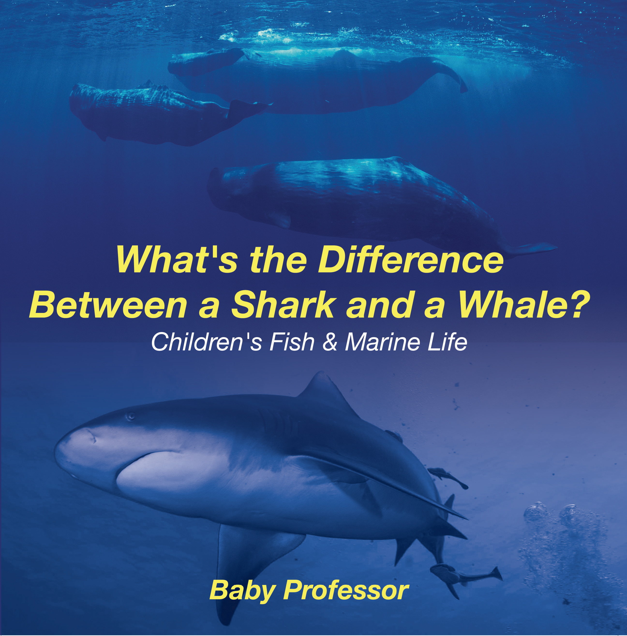 Baby Professor What's the Difference Between a Shark and a Whale? | Children's Fish & Marine Life the snail and the whale big book