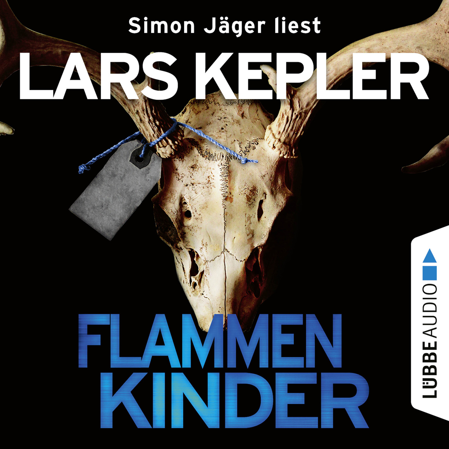 Flammenkinder (Ungekürzt)