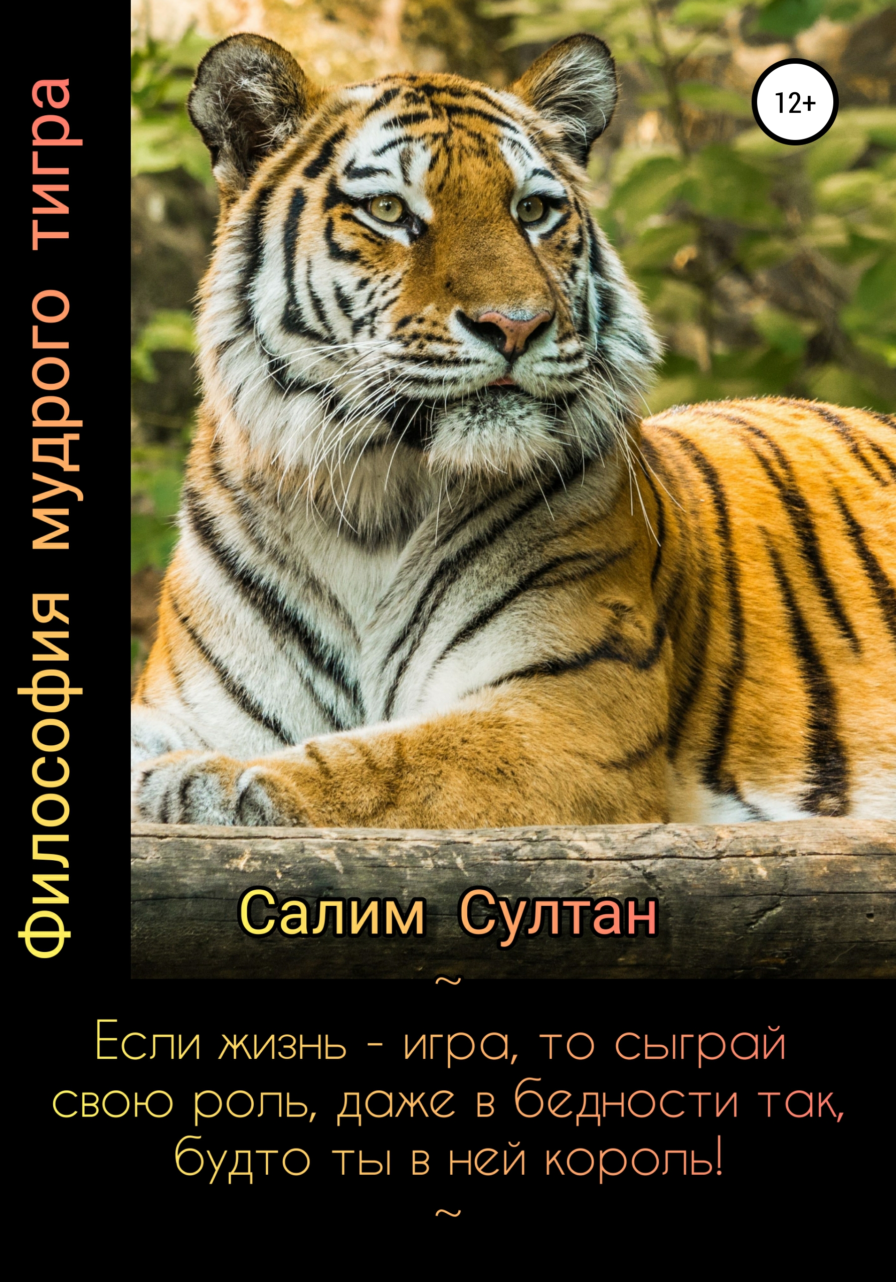 Философия мудрого тигра, Салим Султан – скачать книгу fb2, epub, pdf на  ЛитРес