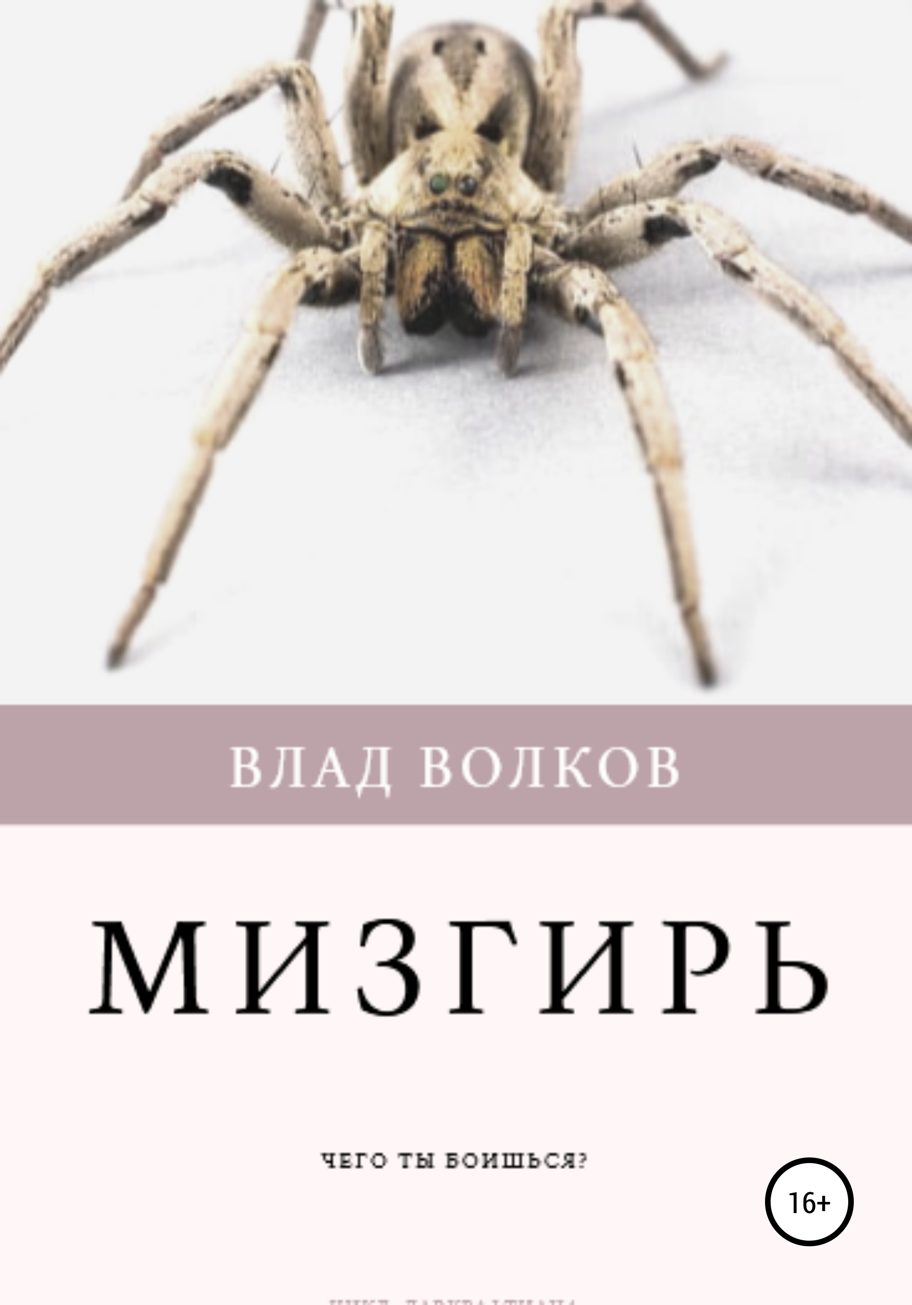Как выглядит мизгирь