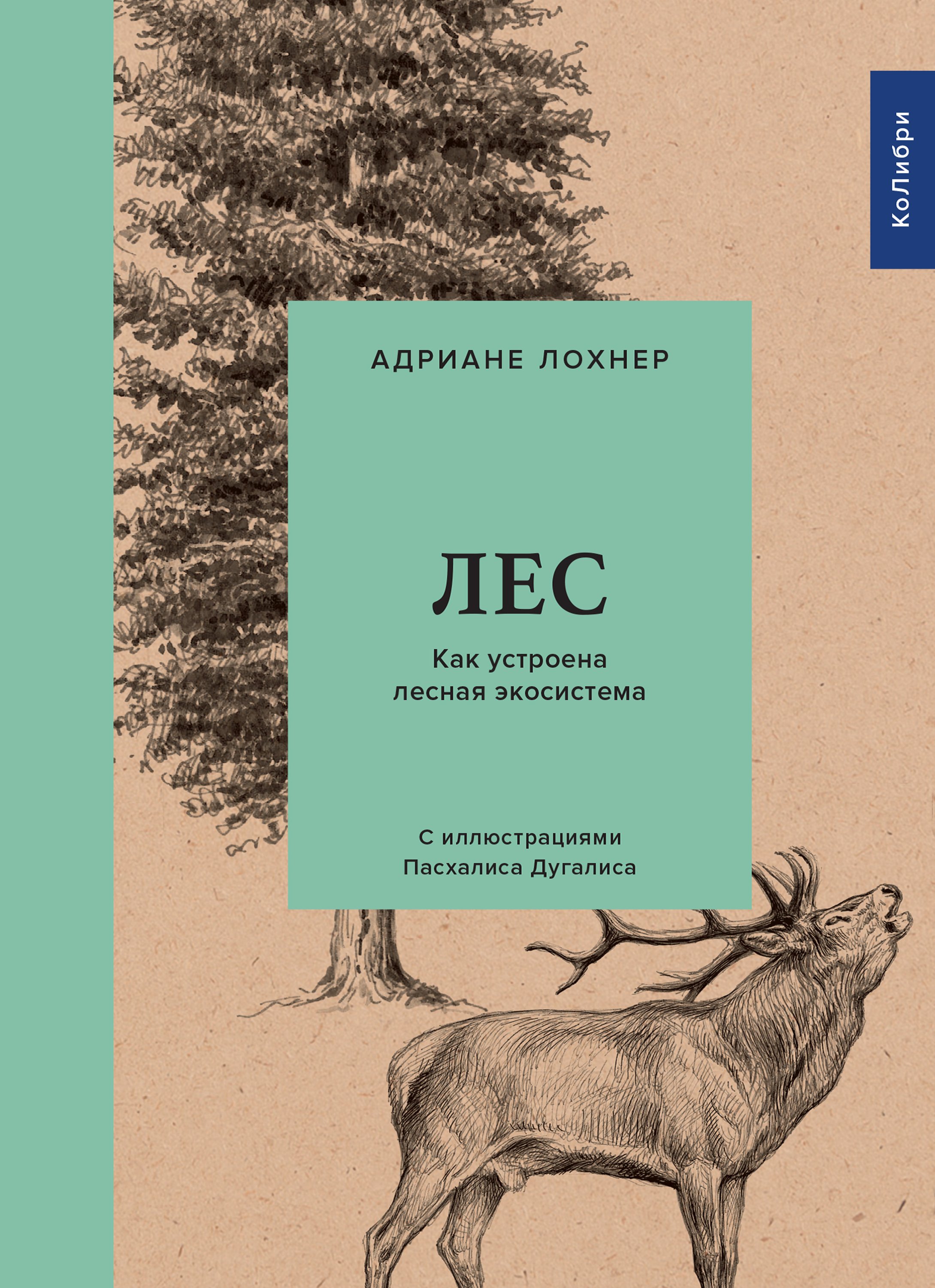 Лес. Как устроена лесная экосистема, Адриане Лохнер – скачать книгу fb2,  epub, pdf на ЛитРес