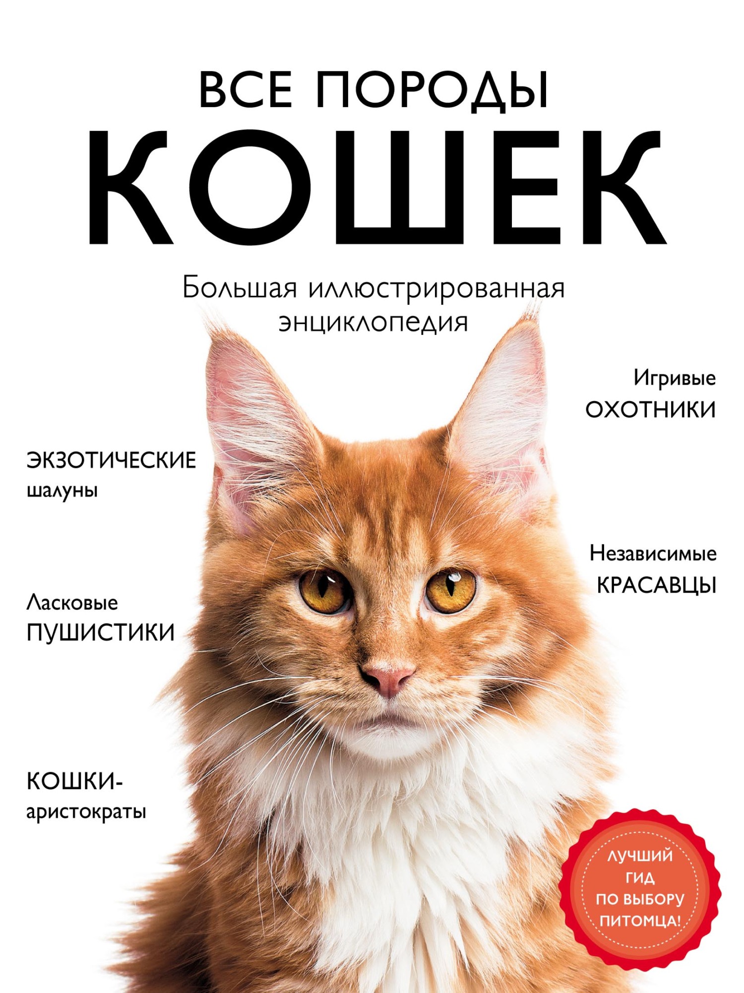 Все породы кошек. Большая иллюстрированная энциклопедия, Людмила Романова –  скачать pdf на ЛитРес