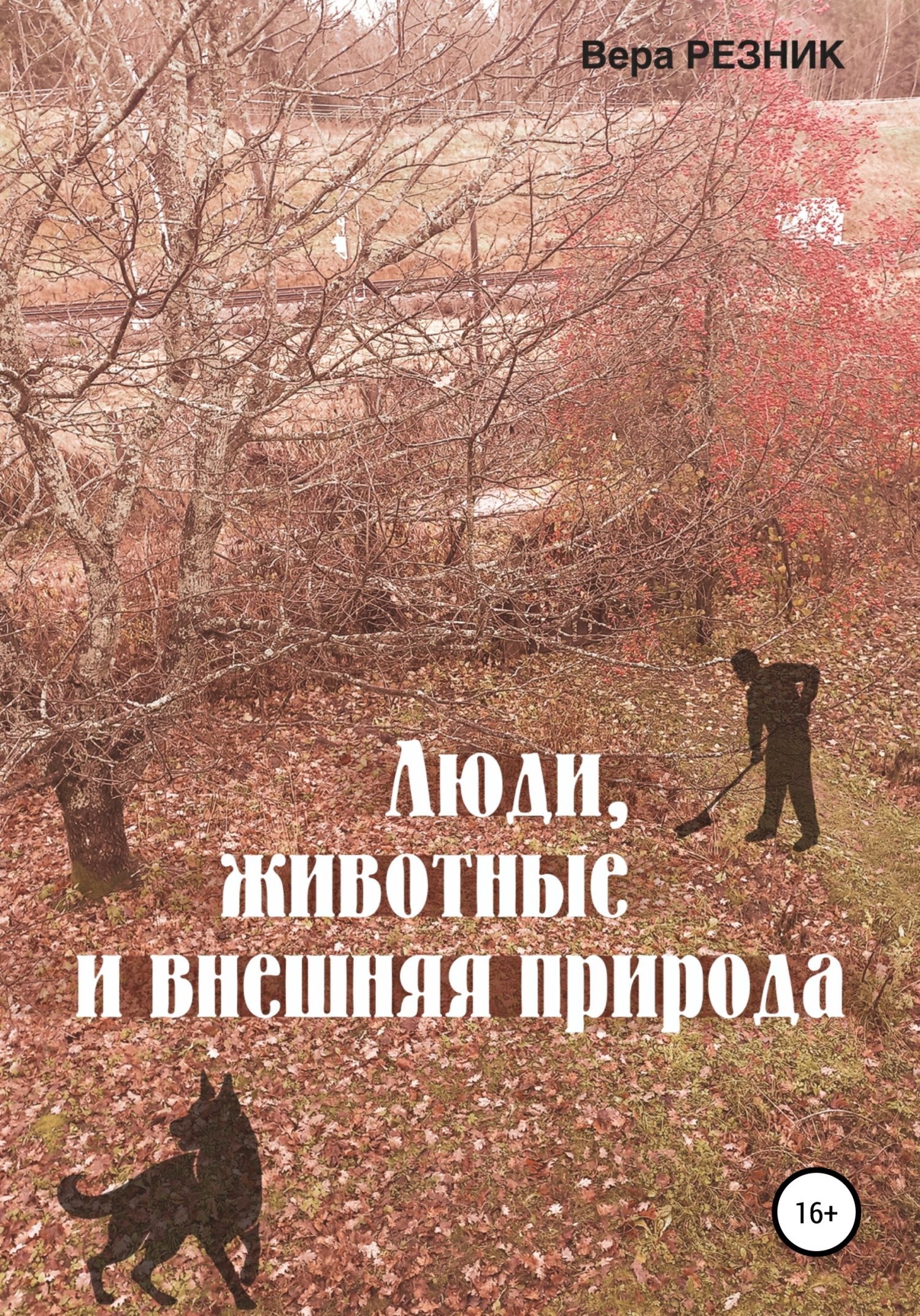 Читать онлайн «Как хочется верить порой… Стихи про жизнь (сборник)», Владимир Рассказов – Литрес