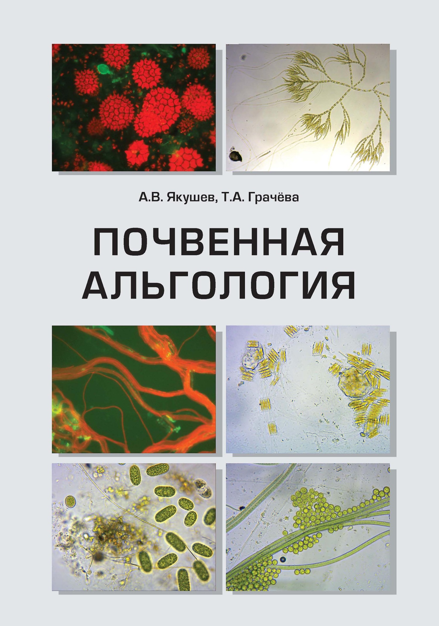 Почвенная альгология. Учебное пособие к курсу лекций и практическим  занятиям «Почвенные водоросли», А. В. Якушев – скачать pdf на ЛитРес