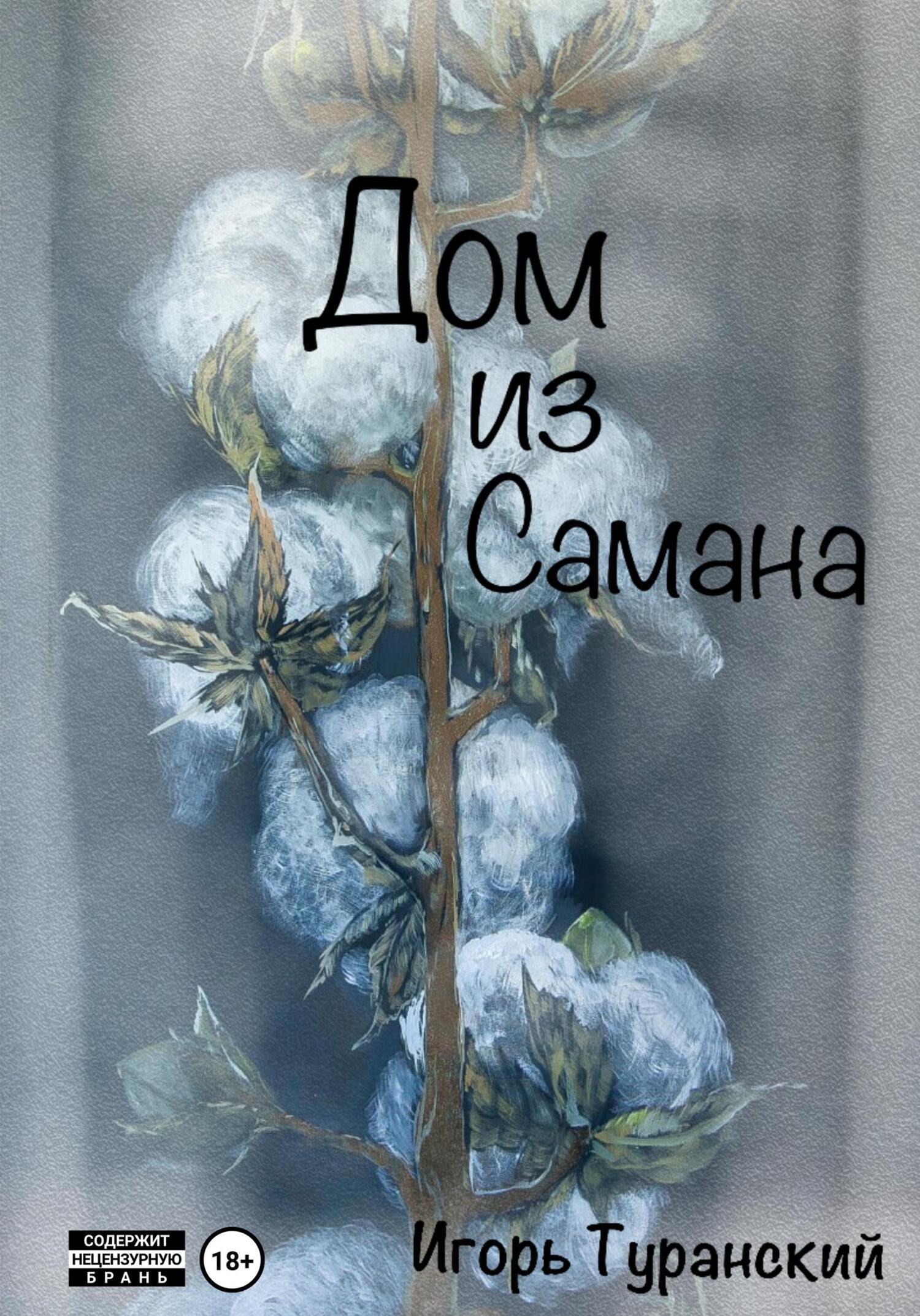 дом из самана книга (99) фото