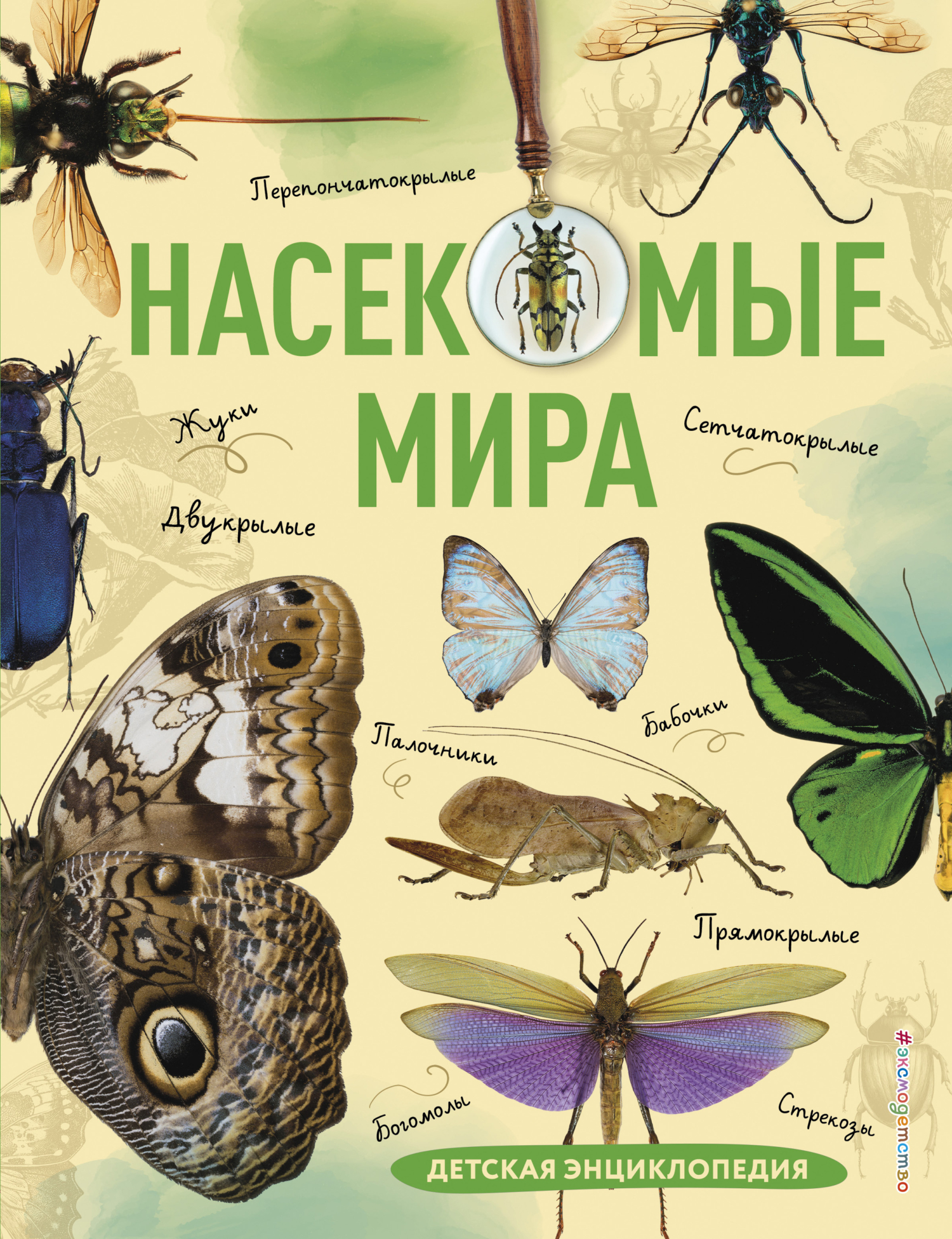 Насекомые мира. Детская энциклопедия, Андрей Сочивко – скачать pdf на ЛитРес