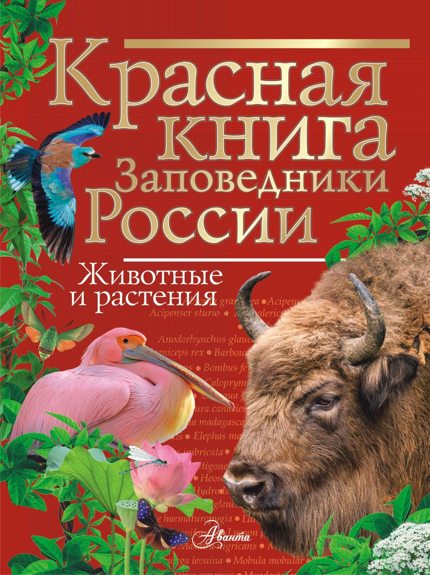 «Красная книга. Заповедники России. Животные и растения» – Владимир  Горбатовский | ЛитРес