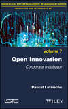 Open Innovation. Corporate Incubator