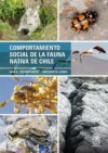 Comportamiento social de la fauna nativa de Chile