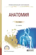 Анатомия 2-е изд., испр. и доп. Учебное пособие для СПО - Виктор Алексеевич Замараев