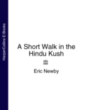 A Short Walk in the Hindu Kush - Eric Newby