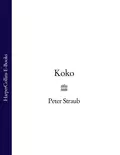 Koko - Peter  Straub