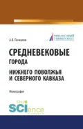 Средневековые города Нижнего Поволжья и Северного Кавказа. (Бакалавриат). Монография. - Александр Владимирович Пачкалов