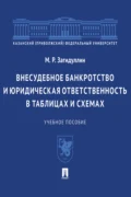 Внесудебное банкротство и юридическая ответственность в таблицах и схемах - М. Р. Загидуллин