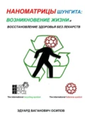 Наноматрицы шунгита: возникновение жизни и восстановление здоровья без лекарств - Эдуард Ваганович Осипов