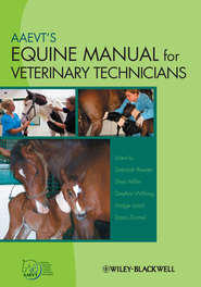 AAEVT\'s Equine Manual for Veterinary Technicians