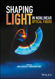Shaping Light in Nonlinear Optical Fibers