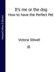 It’s Me or the Dog: How to have the Perfect Pet