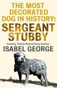 The Most Decorated Dog In History: Sergeant Stubby