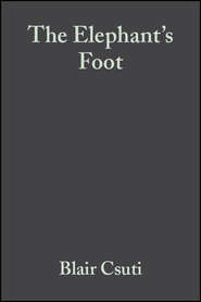 The Elephant\'s Foot