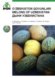 O\'zbekiston qovunlari \/ Melons of Uzbekistan \/ Дыни Узбекистана