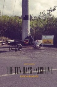 The Ten Day\'s Executive and Other Stories