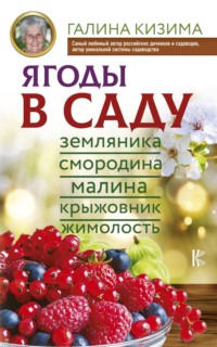 Читать онлайн «Ягоды в саду. Земляника, смородина, малина, крыжовник,жимолость», Галина Кизима – Литрес