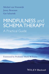 34358456 [Michiel van Vreeswijk, Jenny  Broersen, Ger  Schurink, Wiley] Mindfulness and Schema Therapy
