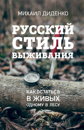 17. Андрей Лапин, аудиолекция 10 июня 2013 г.