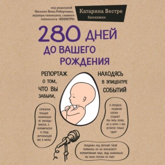 Катарина Вестре 280 дней до вашего рождения