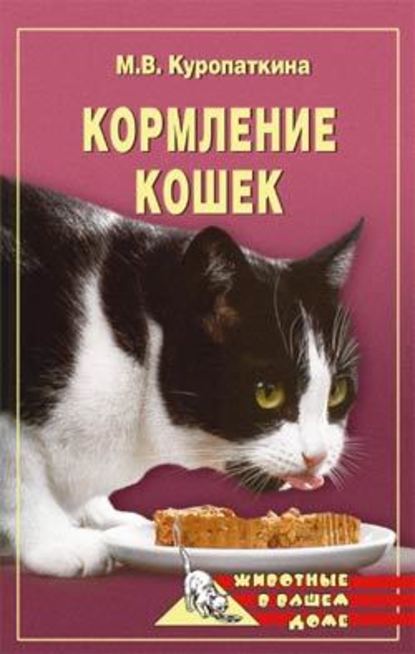 Марина Куропаткина — Кормление кошек