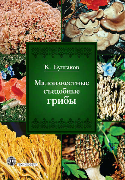К. Г. Булгаков — Малоизвестные съедобные грибы