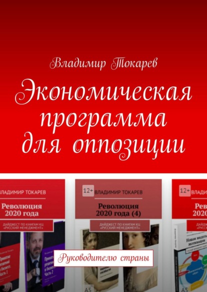 Владимир Токарев - Экономическая программа для оппозиции. Руководителю страны