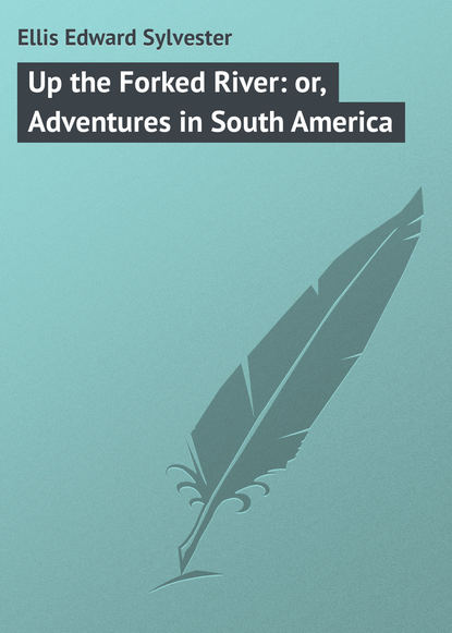 Ellis Edward Sylvester — Up the Forked River: or, Adventures in South America