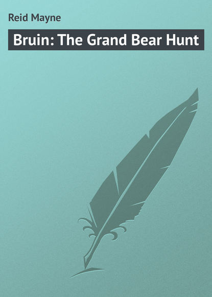 Майн Рид — Bruin: The Grand Bear Hunt