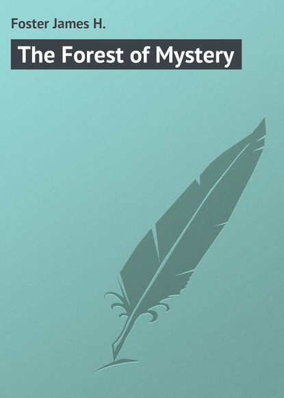 Foster James H. — The Forest of Mystery