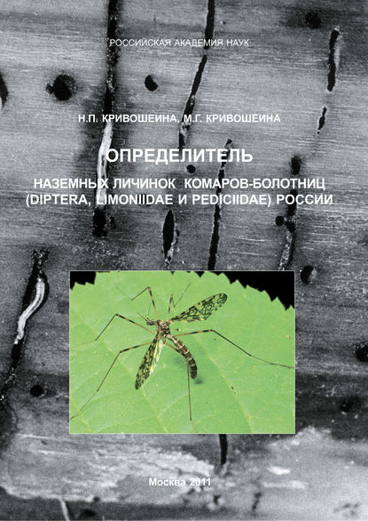 М. Г. Кривошеина - Определитель наземных личинок комаров-болотниц (Diptera, Limoniidae и Pediciidae) России