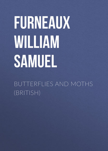 Furneaux William Samuel — Butterflies and Moths (British)