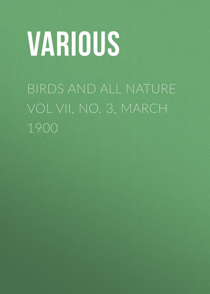 Various — Birds and all Nature Vol VII, No. 3, March 1900